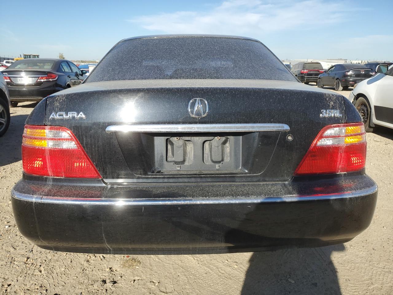 2002 Acura 3.5Rl VIN: JH4KA96502C800424 Lot: 80363255