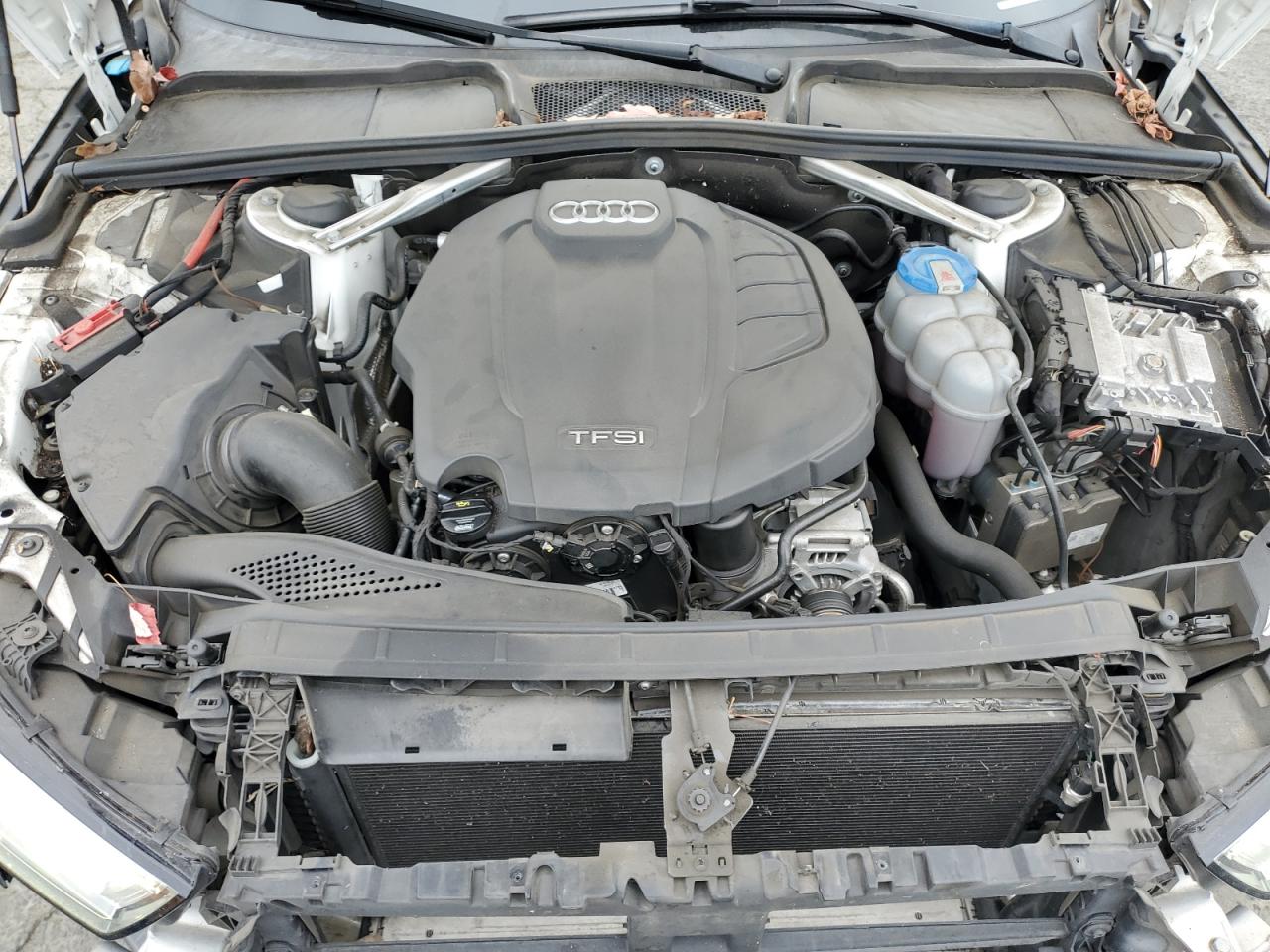 2019 Audi A4 Premium Plus VIN: WAUENAF41KA018119 Lot: 84884405