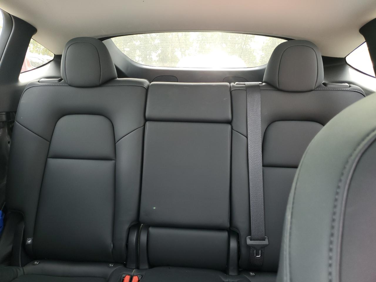 2025 Tesla Model Y VIN: 7SAYGDEE8SA367632 Lot: 81498425