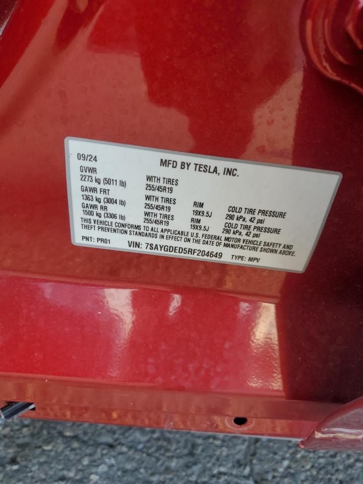 2024 Tesla Model Y VIN: 7SAYGDED5RF204649 Lot: 71179945