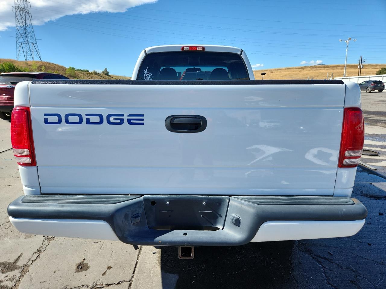 2000 Dodge Dakota VIN: 1B7GG22N9YS703983 Lot: 80115605