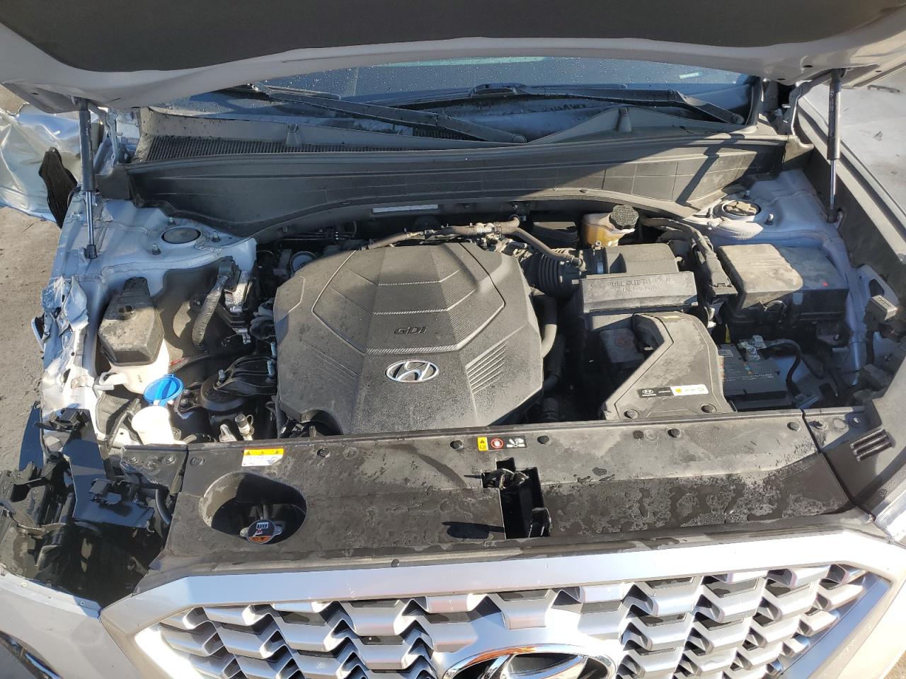 2021 Hyundai Palisade Sel VIN: KM8R4DHE4MU273567 Lot: 80314575