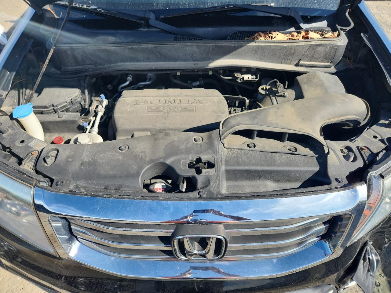 2014 Honda Pilot Exl VIN: 5FNYF4H56EB001641 Lot: 71392295