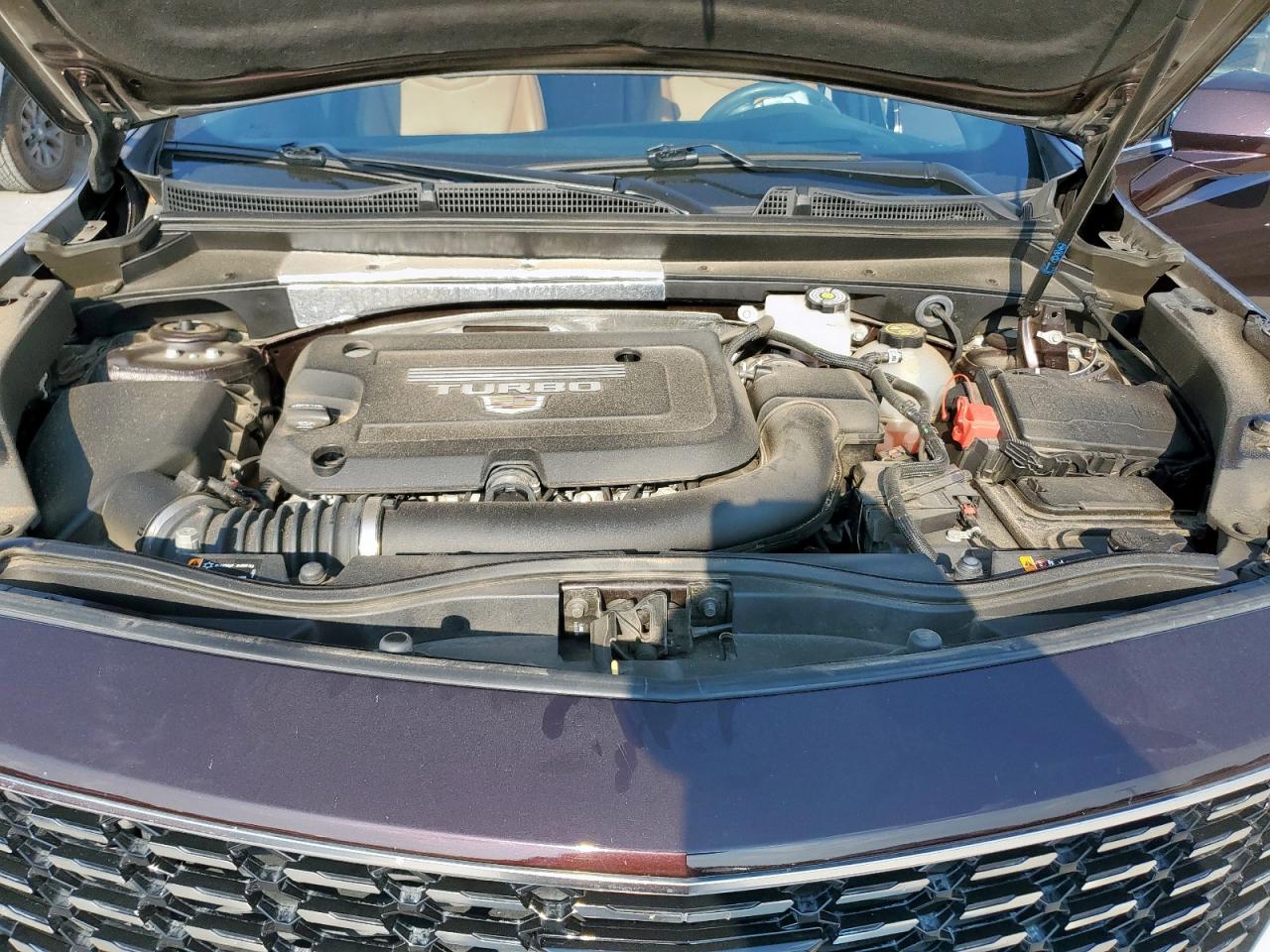 2021 Cadillac Xt4 Premium Luxury VIN: 1GYFZCR47MF001019 Lot: 81502215