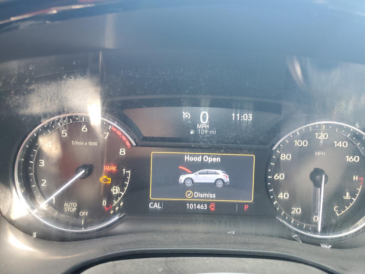 2021 Cadillac Xt5 Premium Luxury VIN: 1GYKNCRS6MZ166504 Lot: 80472675