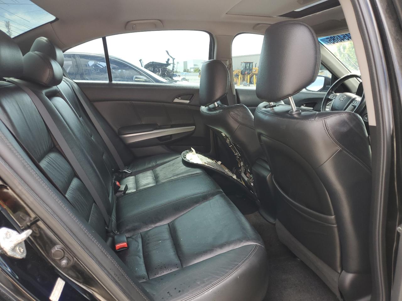 2009 Honda Accord Exl VIN: 1HGCP36859A048447 Lot: 80454885