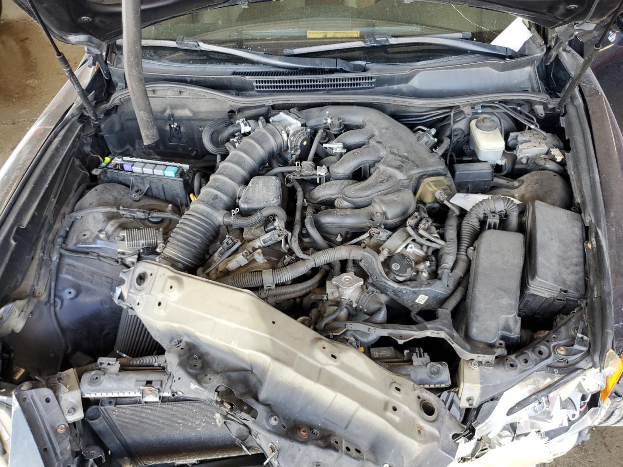 2007 Lexus Is 250 VIN: JTHBK262972041098 Lot: 84404805