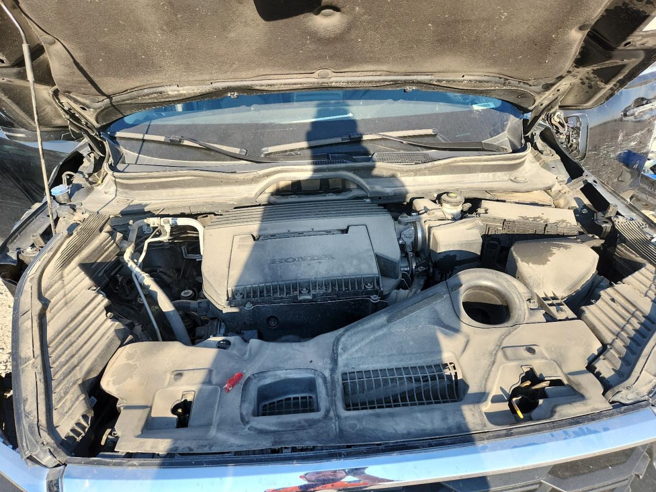 2023 Honda Pilot Exl VIN: 5FNYG1H58PB013501 Lot: 70860505