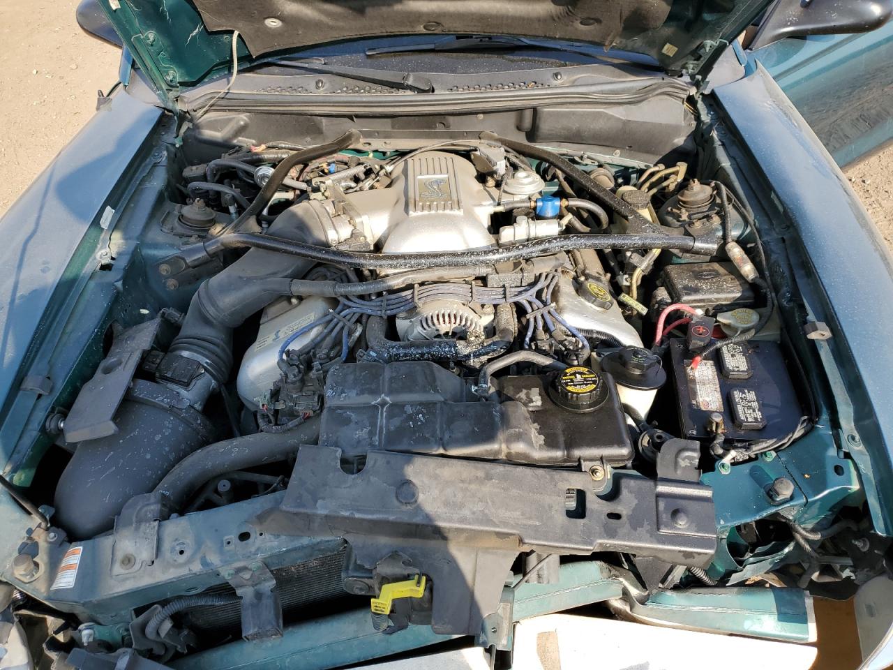 1997 Ford Mustang Cobra VIN: 1FALP46V6VF152300 Lot: 71645815