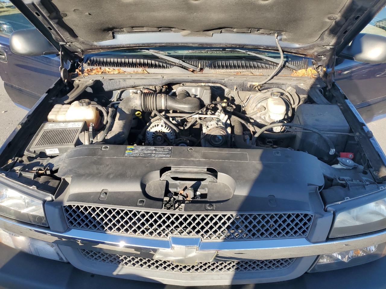2005 Chevrolet Silverado K1500 VIN: 1GCEK14X05Z134233 Lot: 81896795