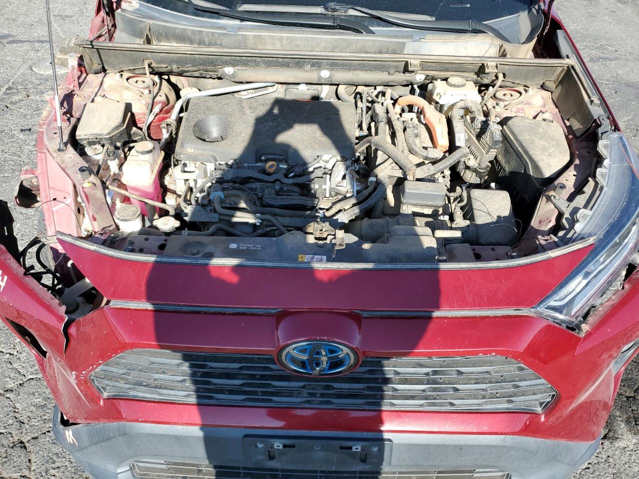 2021 Toyota Rav4 Xle VIN: 2T3RWRFV3MW114878 Lot: 81861705