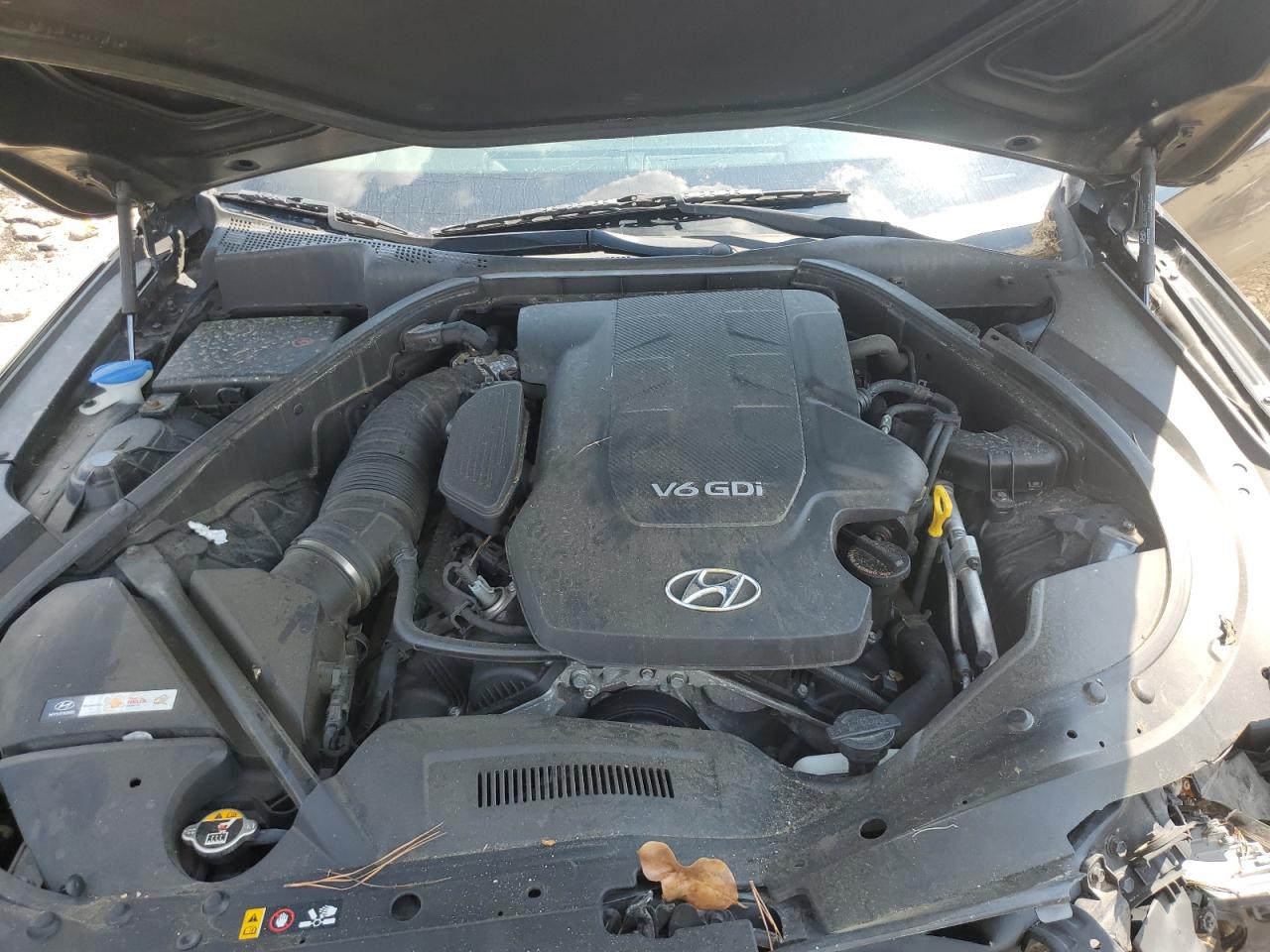 2016 Hyundai Genesis 3.8L VIN: KMHGN4JE5GU113118 Lot: 80153875