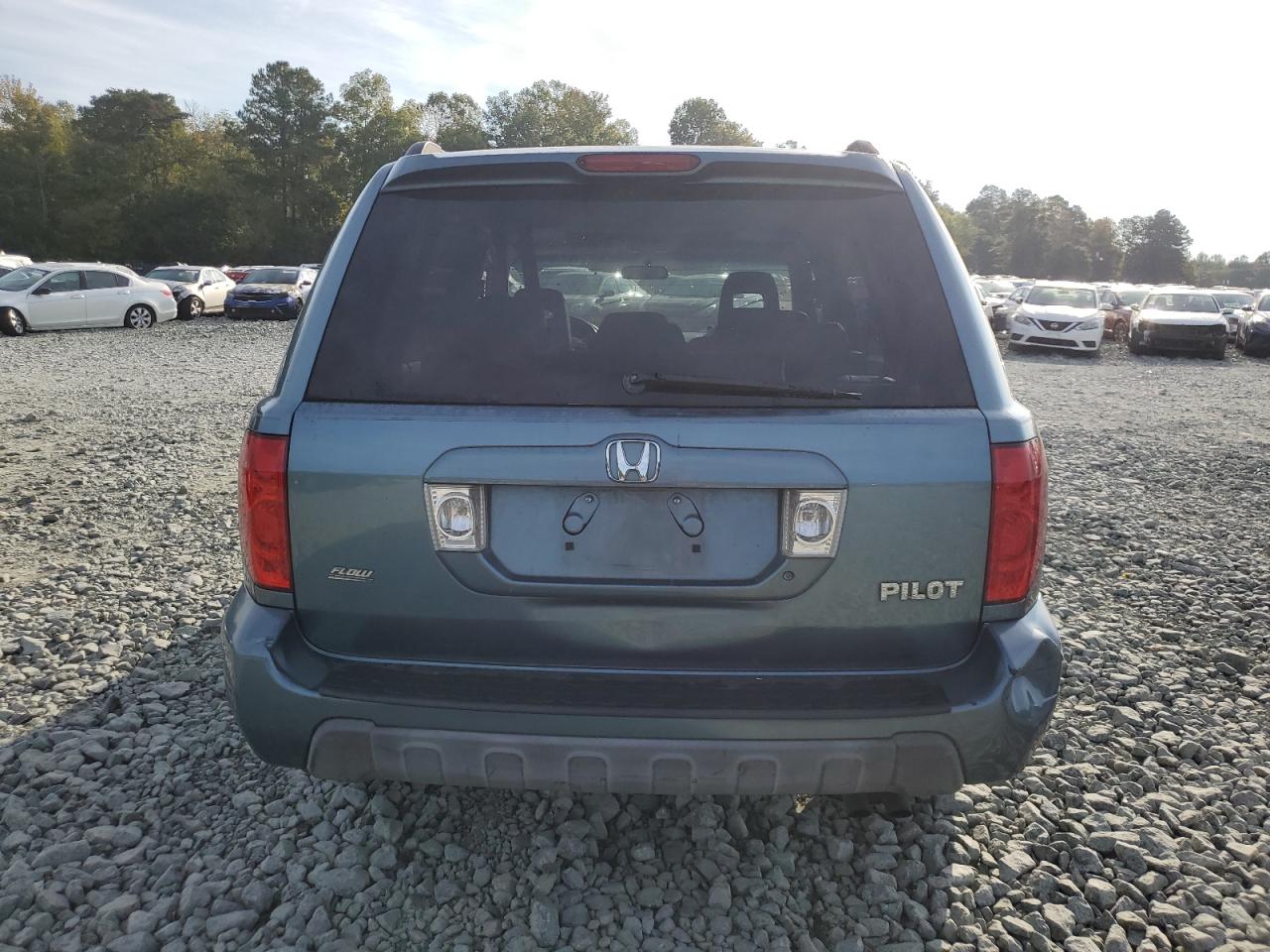 2005 Honda Pilot Exl VIN: 5FNYF18575B026191 Lot: 81709995