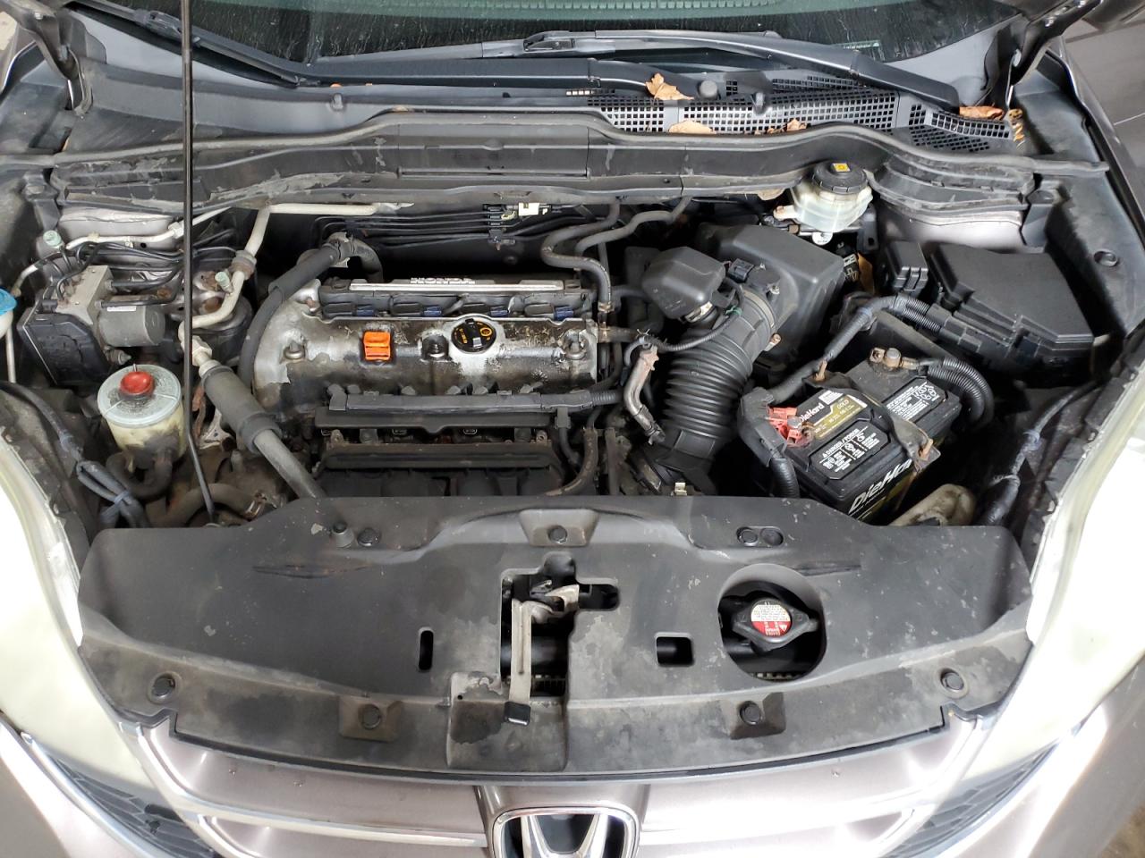 2010 Honda Cr-V Exl VIN: 5J6RE4H71AL045802 Lot: 81954005