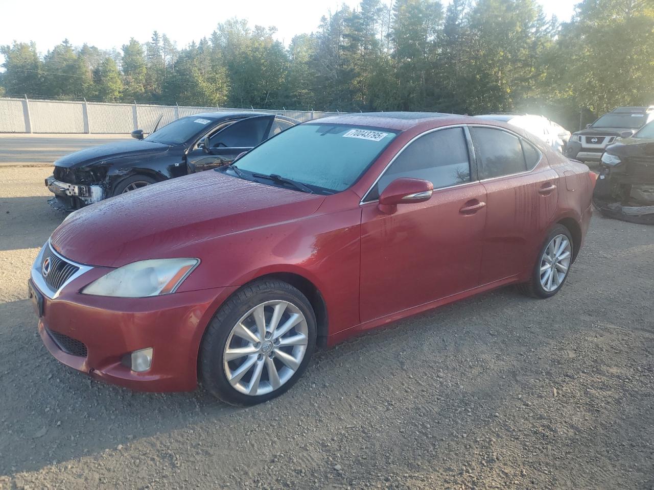 2010 Lexus Is 250 red null gas JTHCF5C24A5041658 photo #1