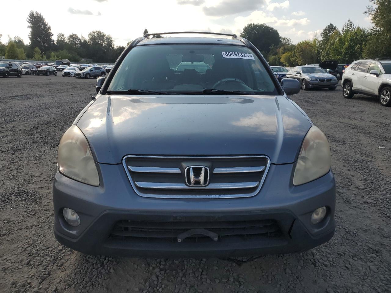 2005 Honda Cr-V Se VIN: JHLRD789X5C006226 Lot: 80492325