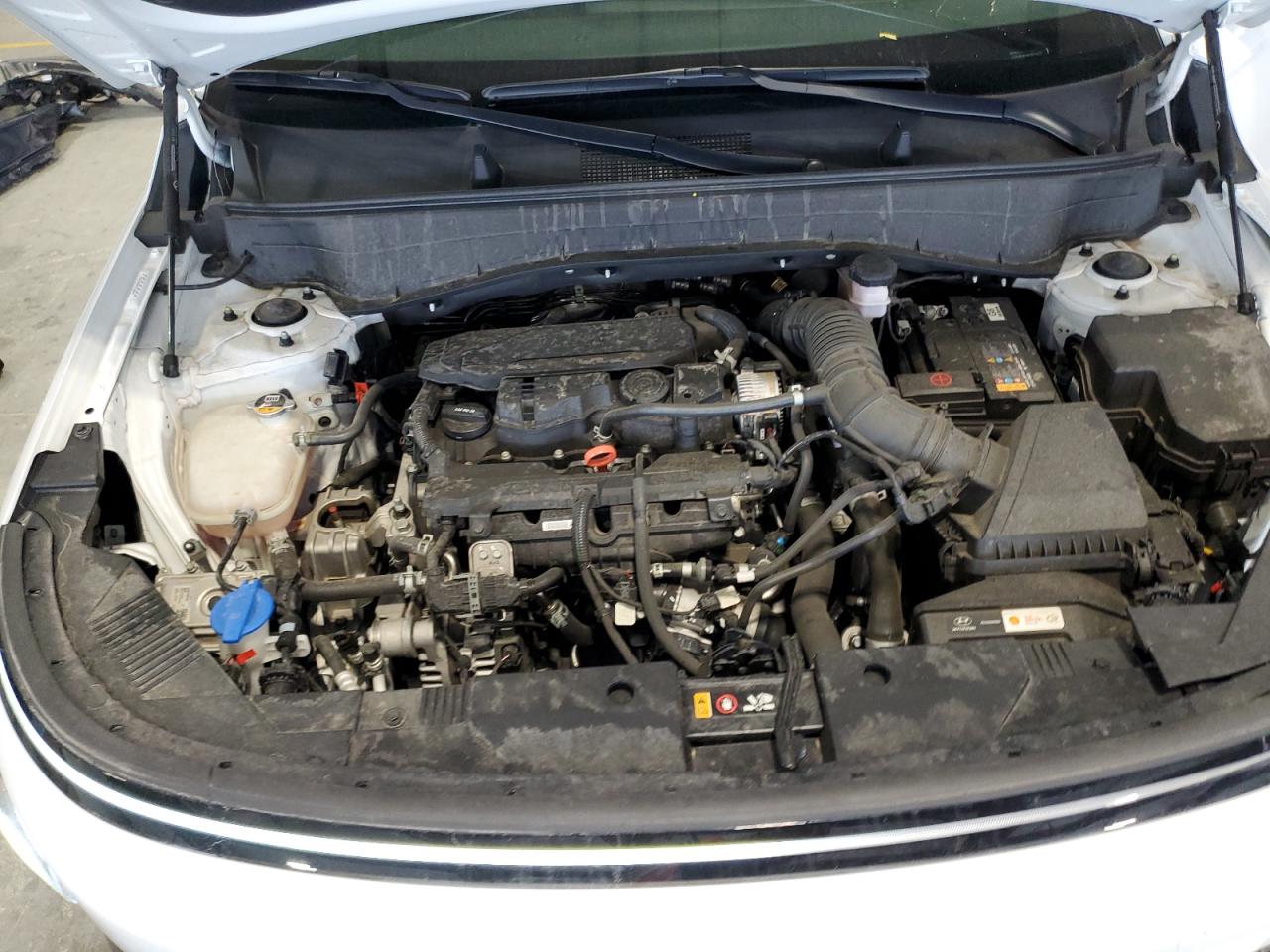 2024 Hyundai Kona Limited VIN: KM8HECA36RU023427 Lot: 81226725