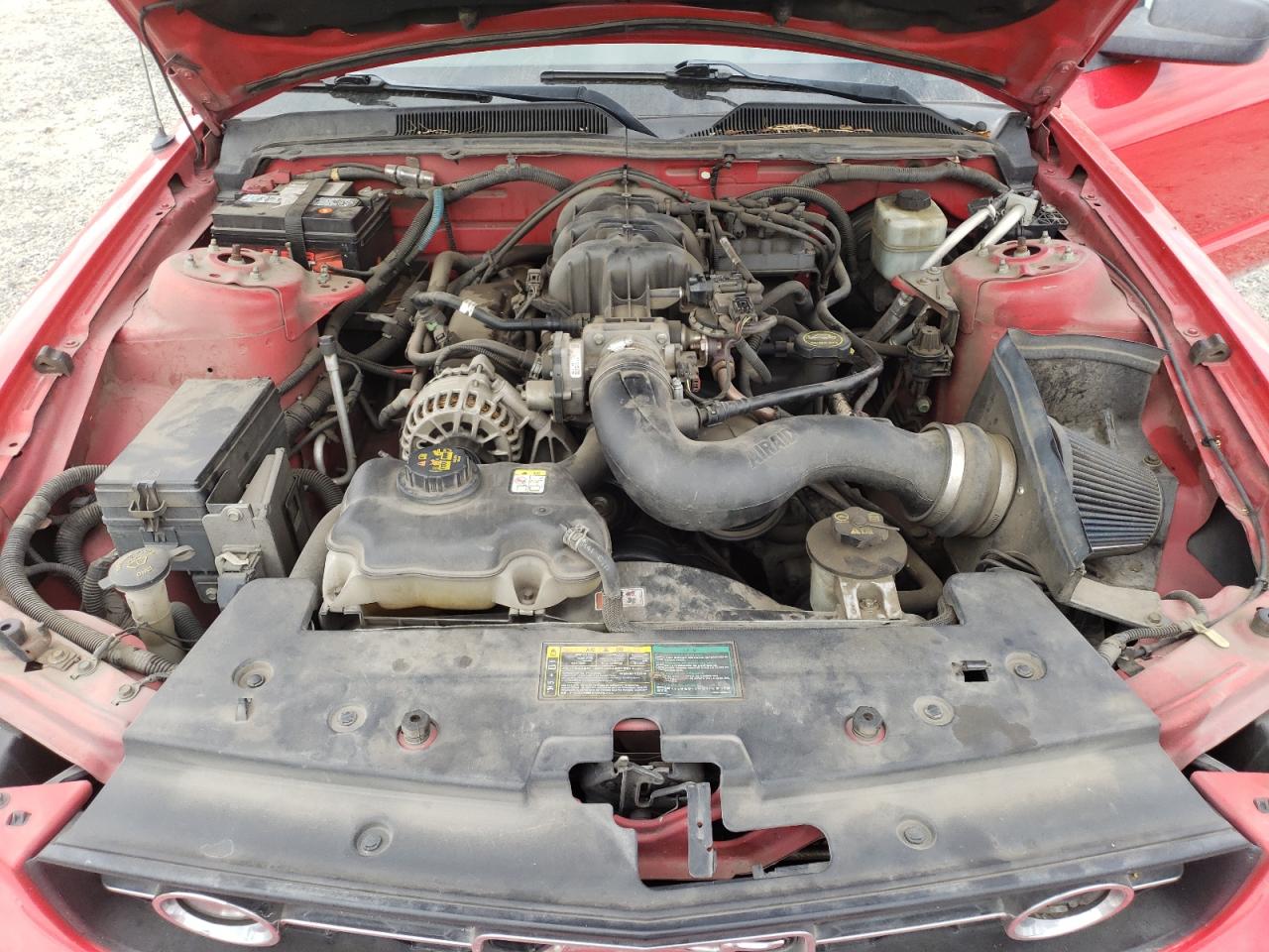 2006 Ford Mustang VIN: 1ZVFT80N165168119 Lot: 80091755