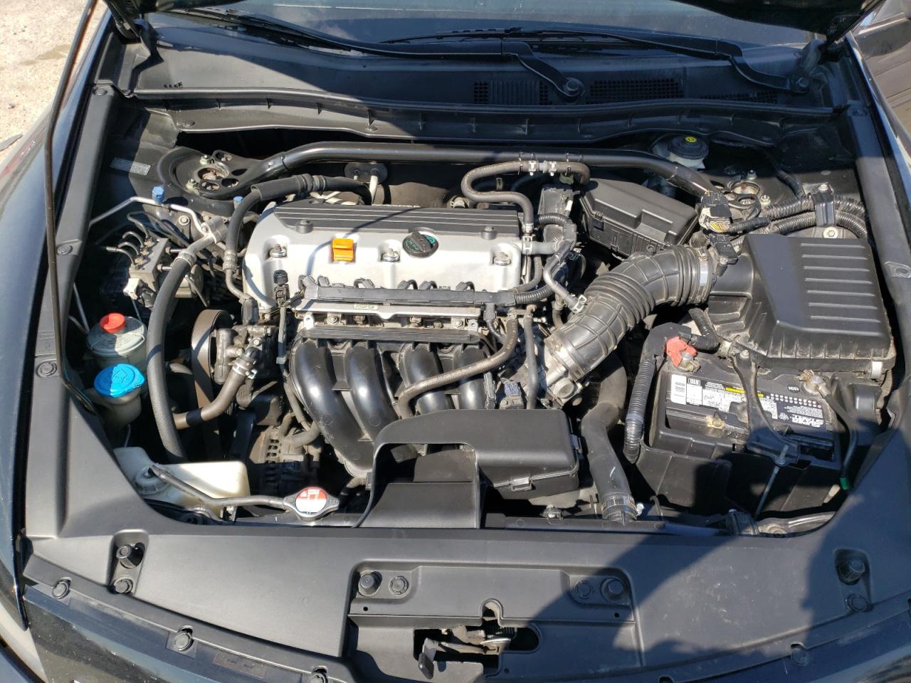 2010 Honda Accord Exl VIN: 1HGCS1B88AA014807 Lot: 81271145