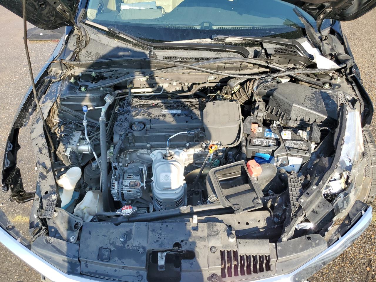 2017 Honda Accord Exl VIN: 1HGCR2F87HA245204 Lot: 80779375