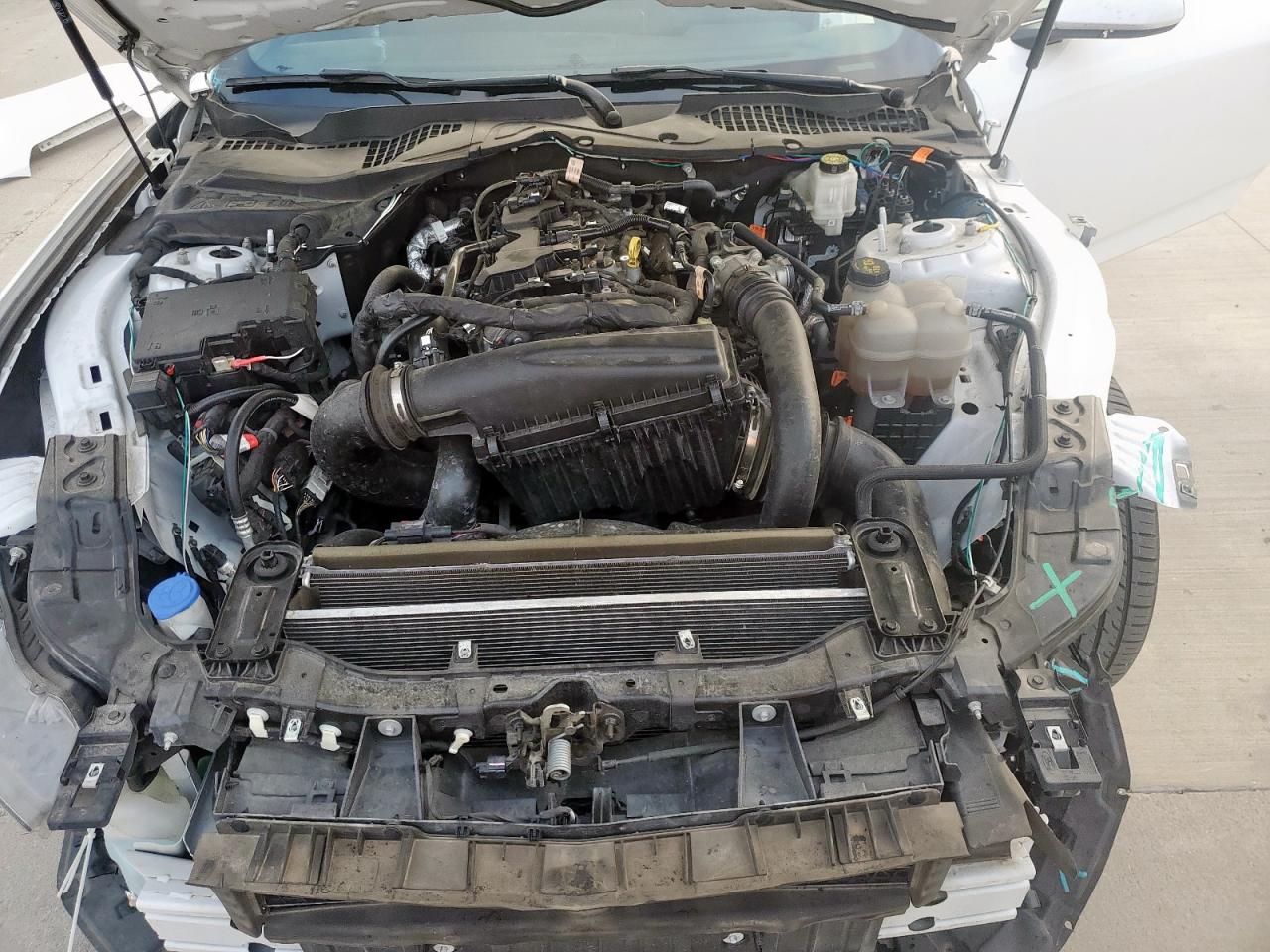 2024 Ford Mustang VIN: 1FA6P8TH0R5110591 Lot: 82111285