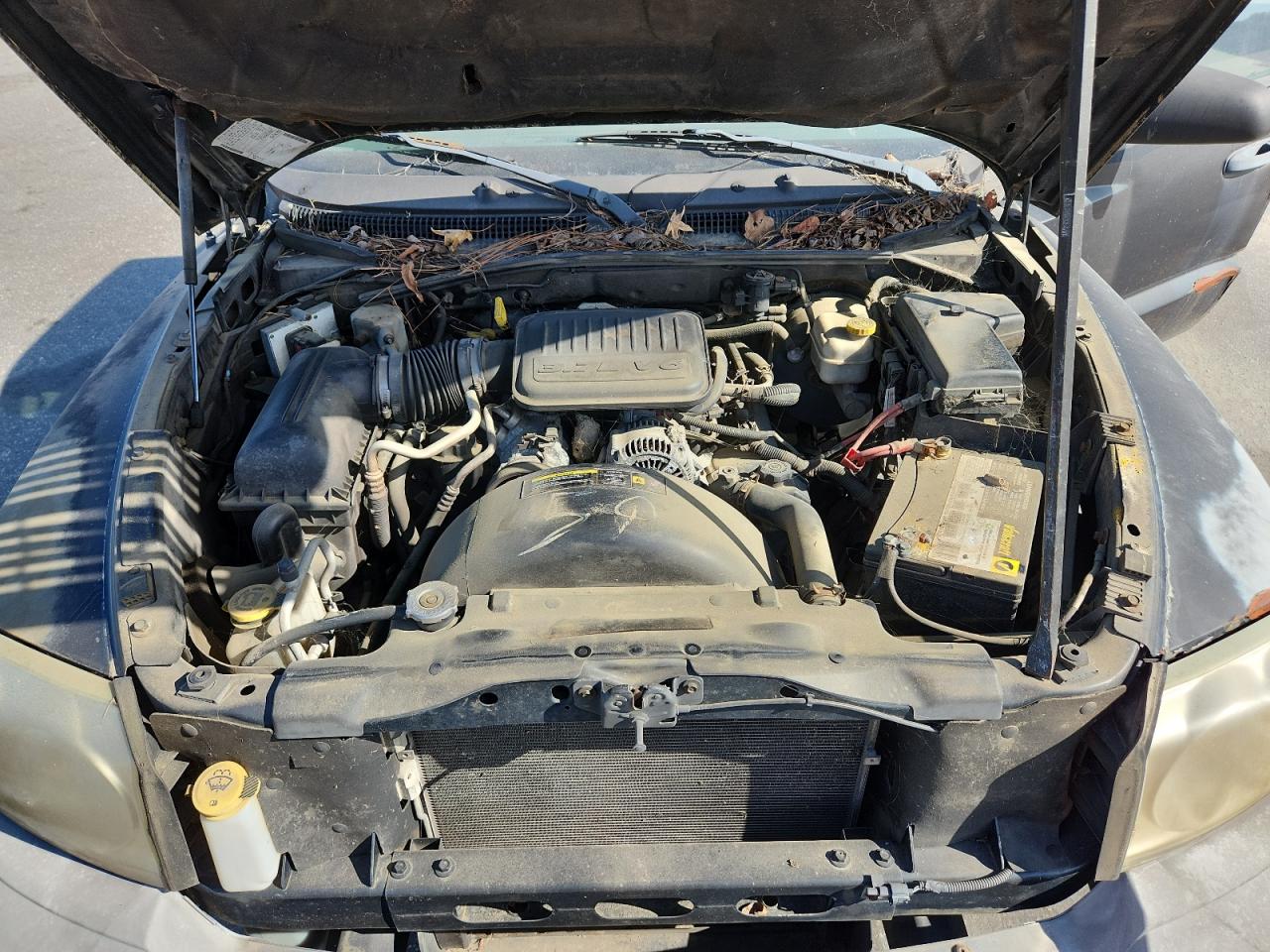 2005 Dodge Dakota St VIN: 1D7HE22K25S260271 Lot: 80764335