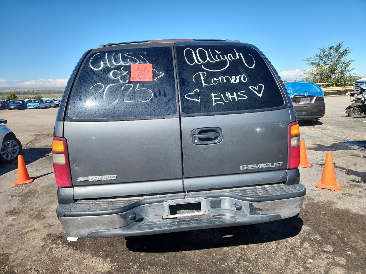 2002 Chevrolet Tahoe K1500 VIN: 1GNEK13Z62R193535 Lot: 81508105