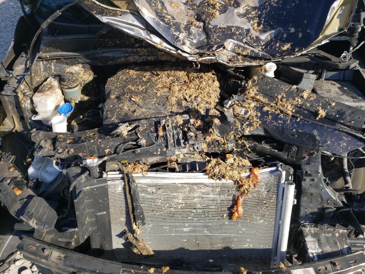 2021 Kia Sedona Lx VIN: KNDMB5C13M6667869 Lot: 84413465