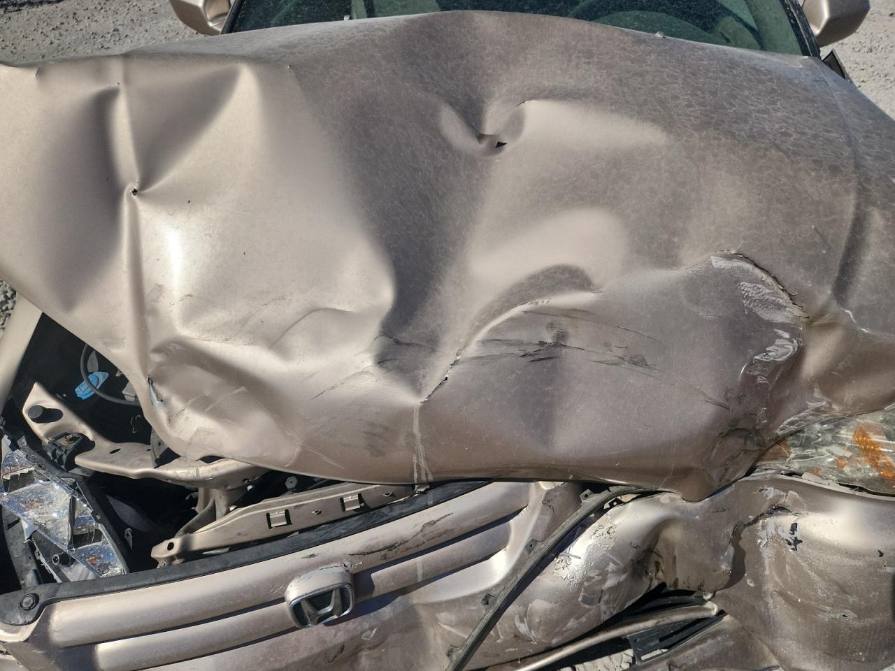 2001 Honda Accord Ex VIN: 1HGCG16591A801573 Lot: 80750025