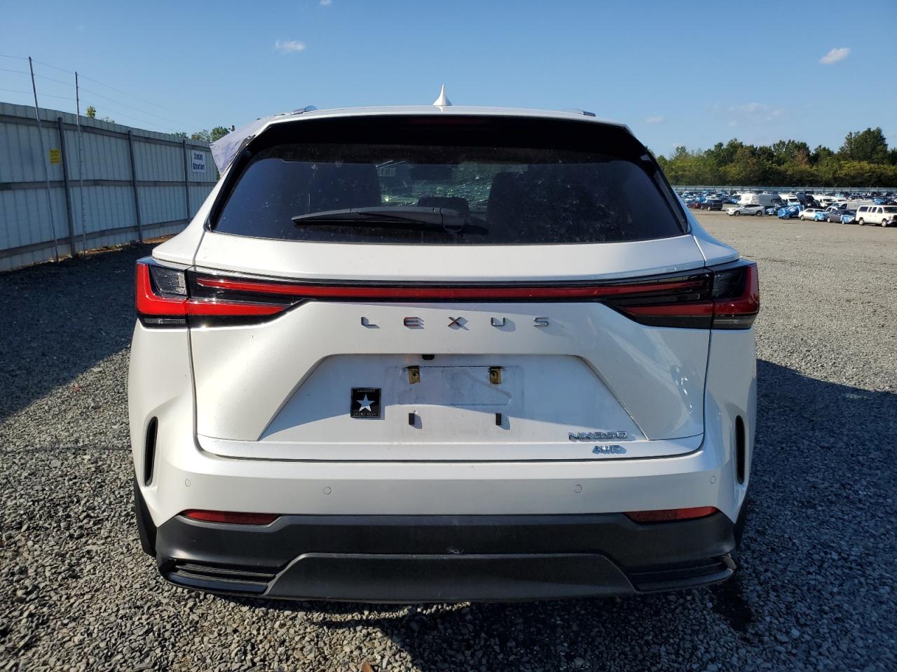 2024 Lexus Nx 350 Premium VIN: 2T2GGCEZXRC047862 Lot: 81339535