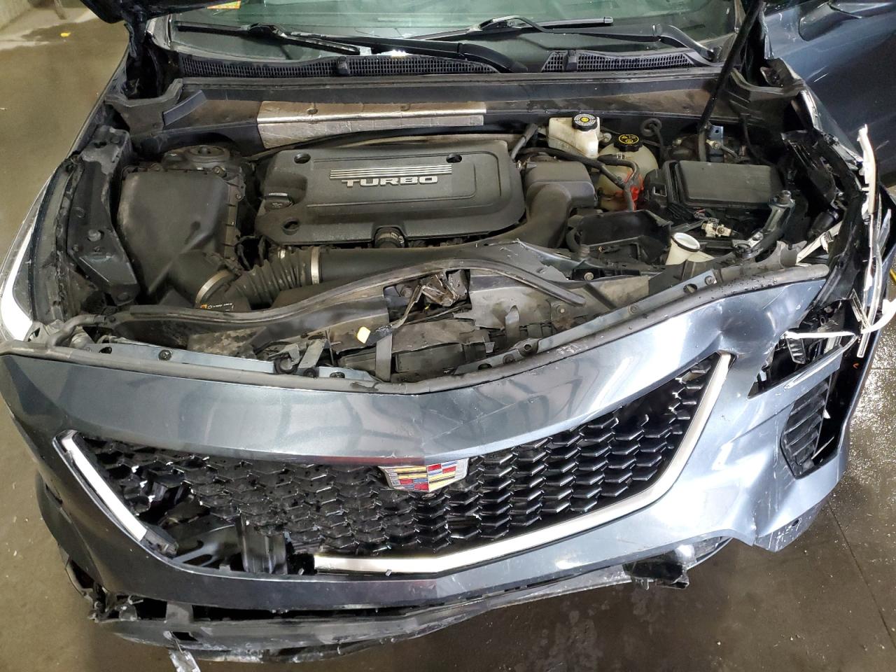 2019 Cadillac Xt4 Sport VIN: 1GYFZFR40KF123154 Lot: 81385865