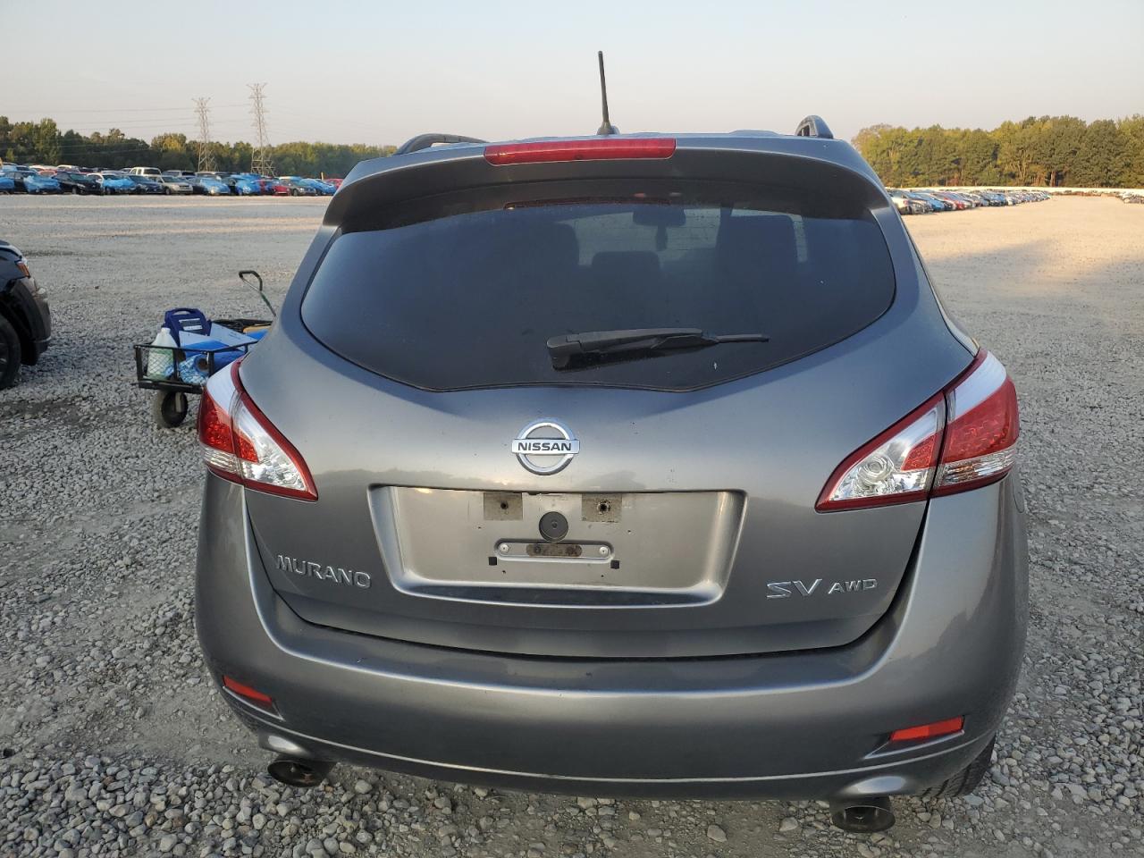 2013 Nissan Murano S VIN: JN8AZ1MW6DW314113 Lot: 81053795