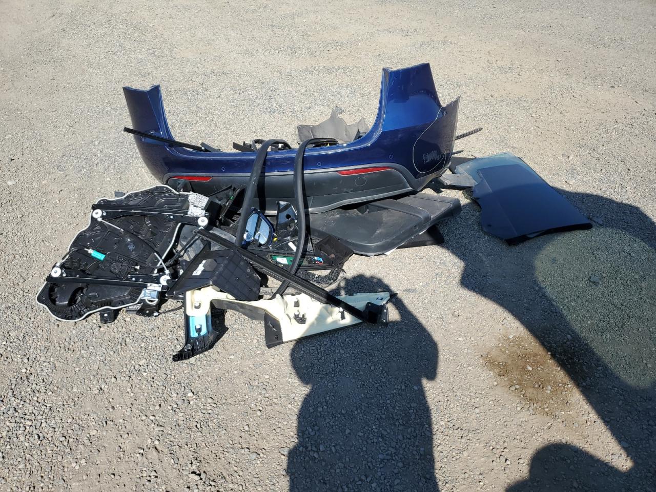 2022 Tesla Model Y VIN: 7SAYGDEE7NF369556 Lot: 81505295