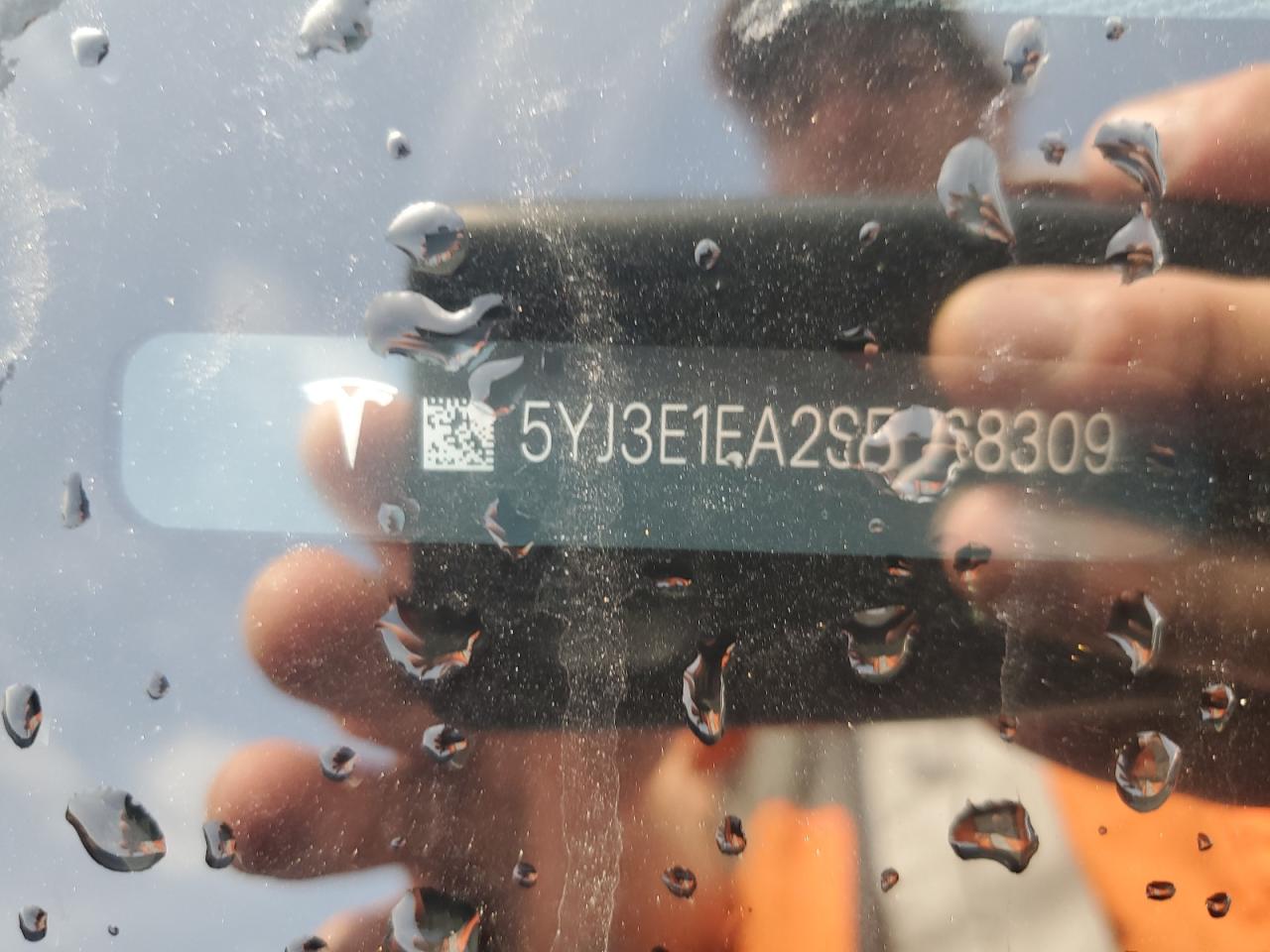 2025 Tesla Model 3 VIN: 5YJ3E1EA2SF068309 Lot: 81709915