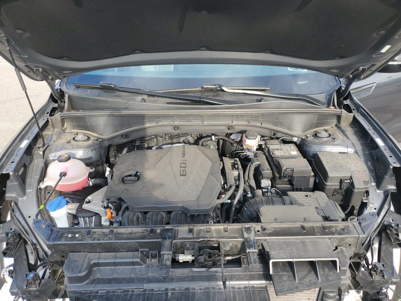 2023 Kia Sorento S VIN: 5XYRLDLC0PG226233 Lot: 71881275