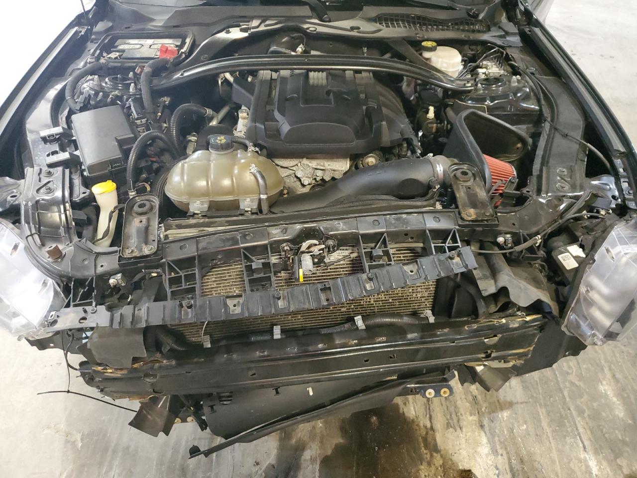 2019 Ford Mustang VIN: 1FA6P8TH5K5153121 Lot: 80522885