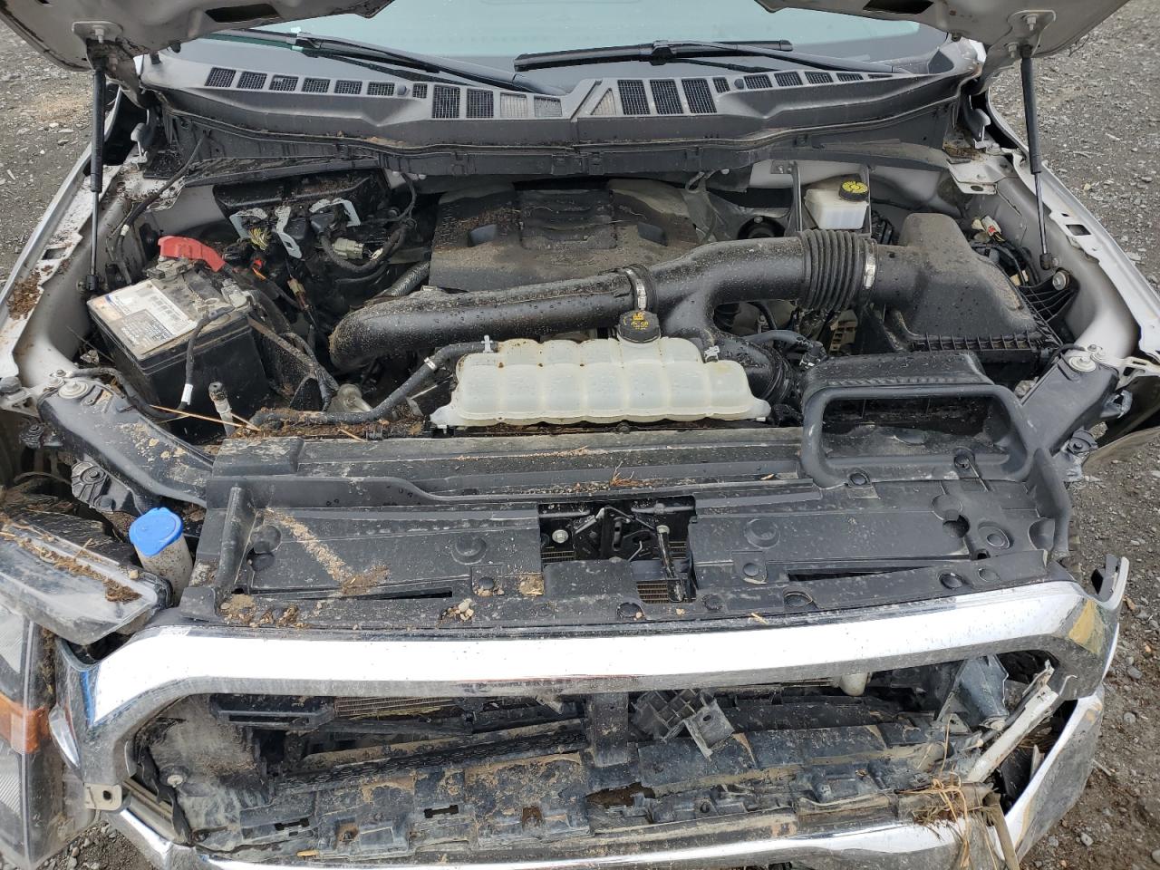 2023 Ford F150 Super Cab VIN: 1FTFX1E89PKE43675 Lot: 80747945