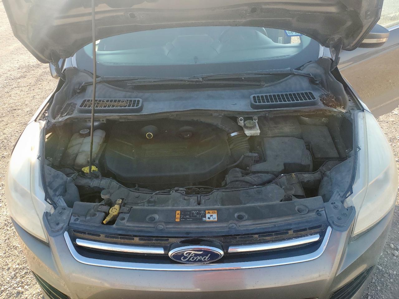 2013 Ford Escape Sel VIN: 1FMCU0H91DUC37014 Lot: 81851585