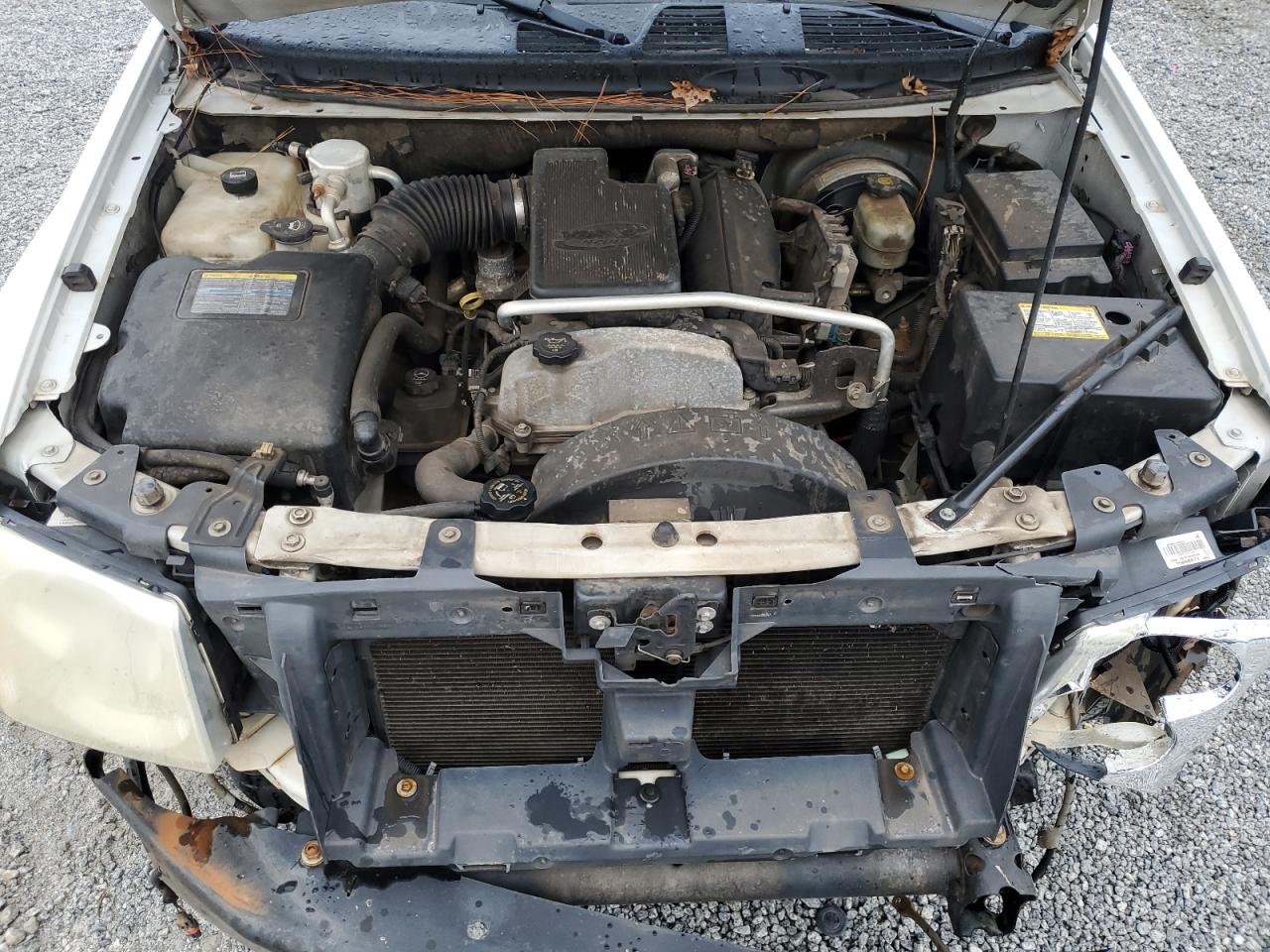 2006 GMC Envoy VIN: 1GKDS13S462262183 Lot: 82121965