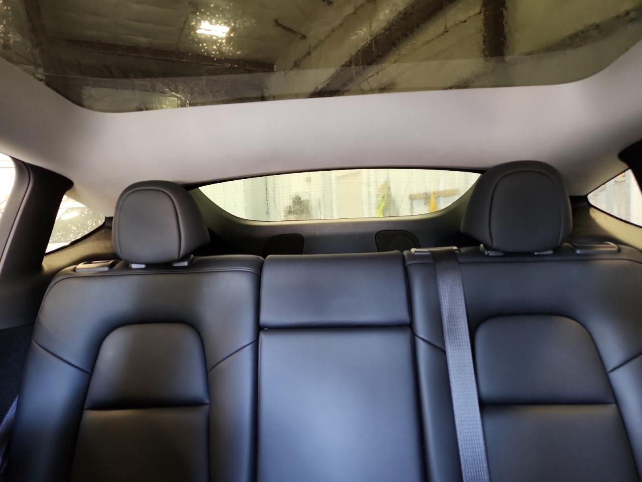 2022 Tesla Model Y VIN: 7SAYGDEE1NA014864 Lot: 81585695