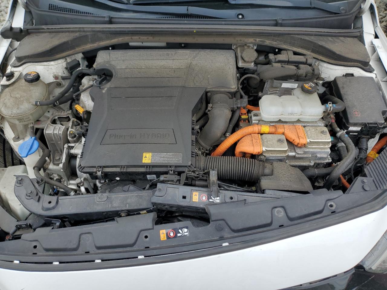 2019 Hyundai Ioniq VIN: KMHC65LD8KU182979 Lot: 80360045