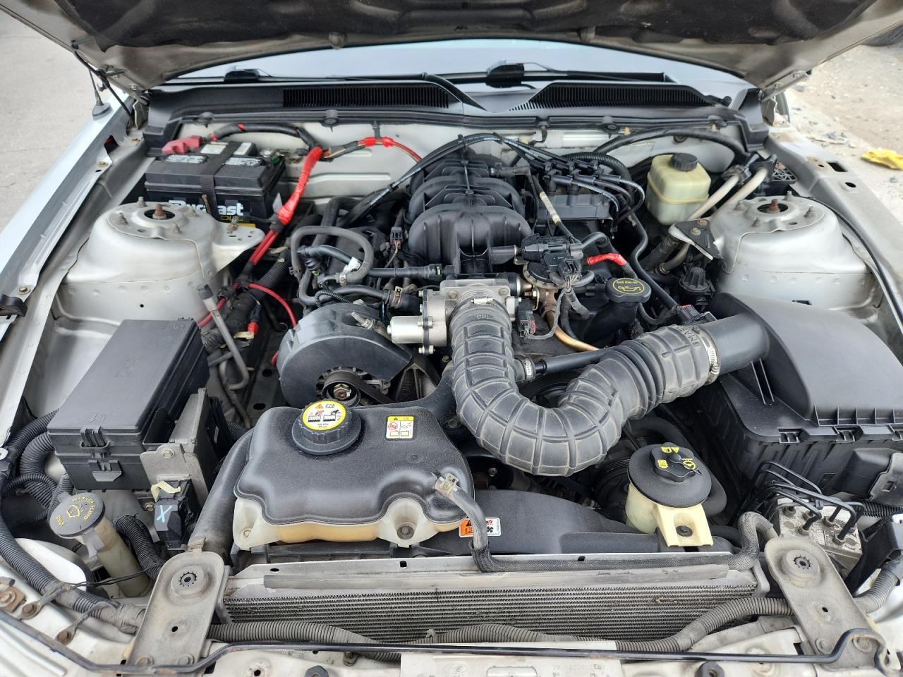 2005 Ford Mustang VIN: 1ZVFT80N355223247 Lot: 81718965