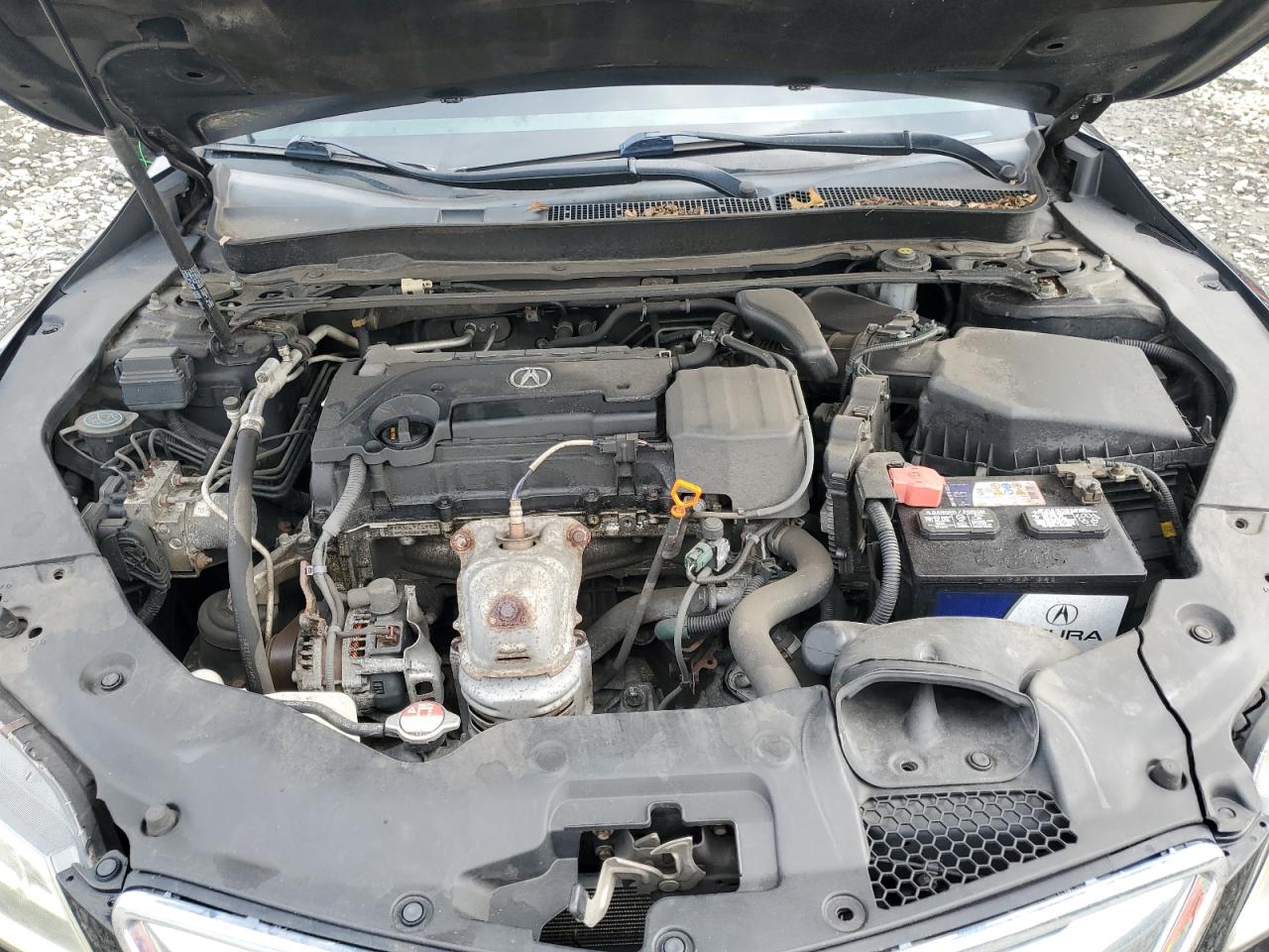 2017 Acura Tlx VIN: 19UUB1F38HA006574 Lot: 83774485