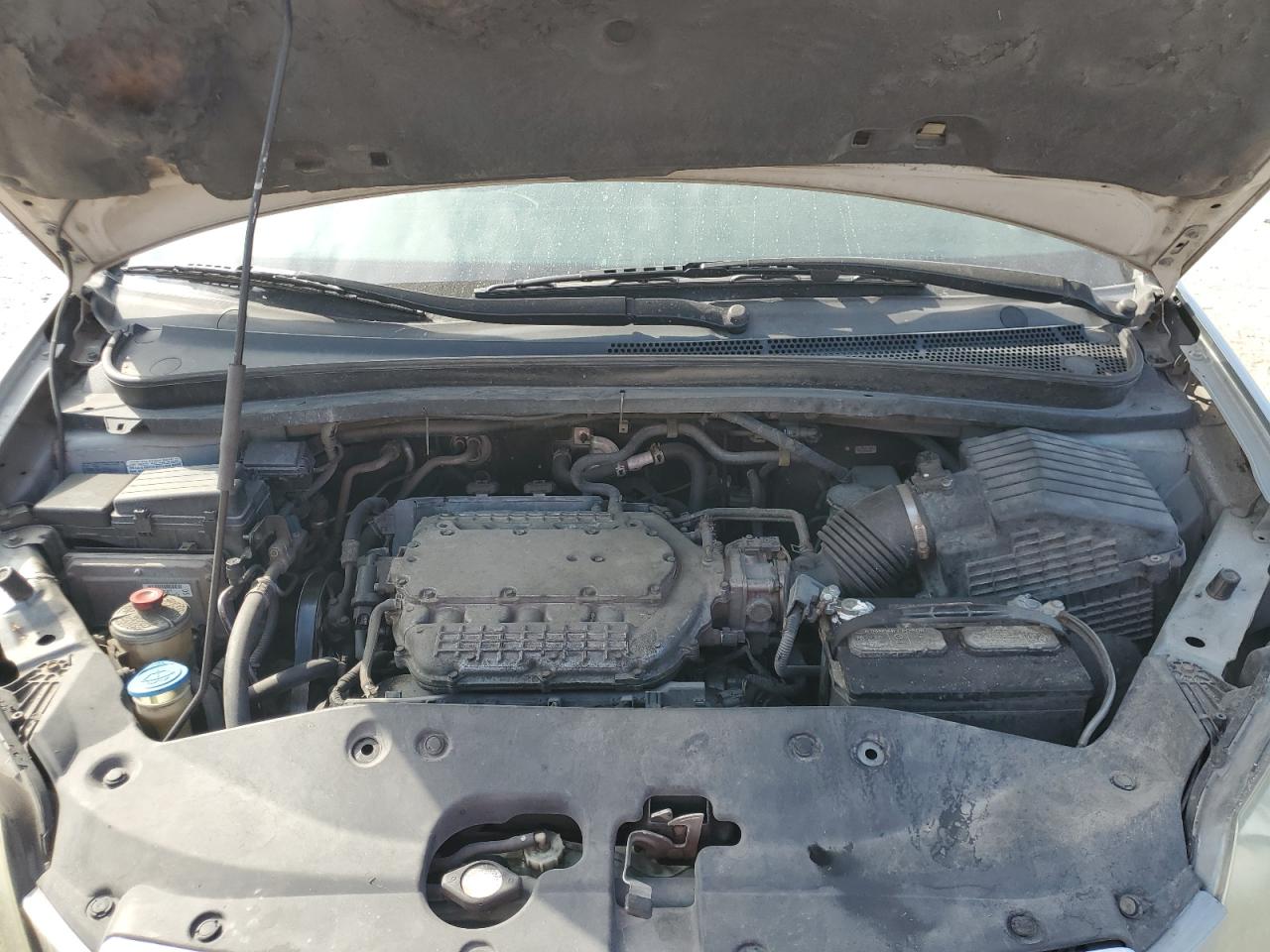 2007 Honda Odyssey Exl VIN: 5FNRL38767B009072 Lot: 71534575