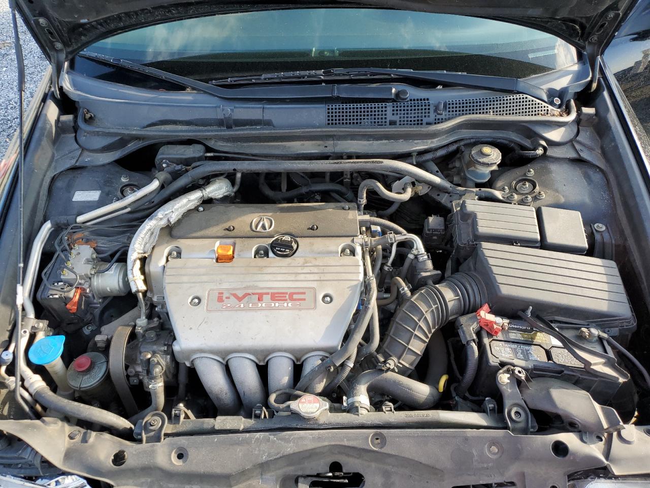 2007 Acura Tsx VIN: JH4CL96877C010490 Lot: 71952855