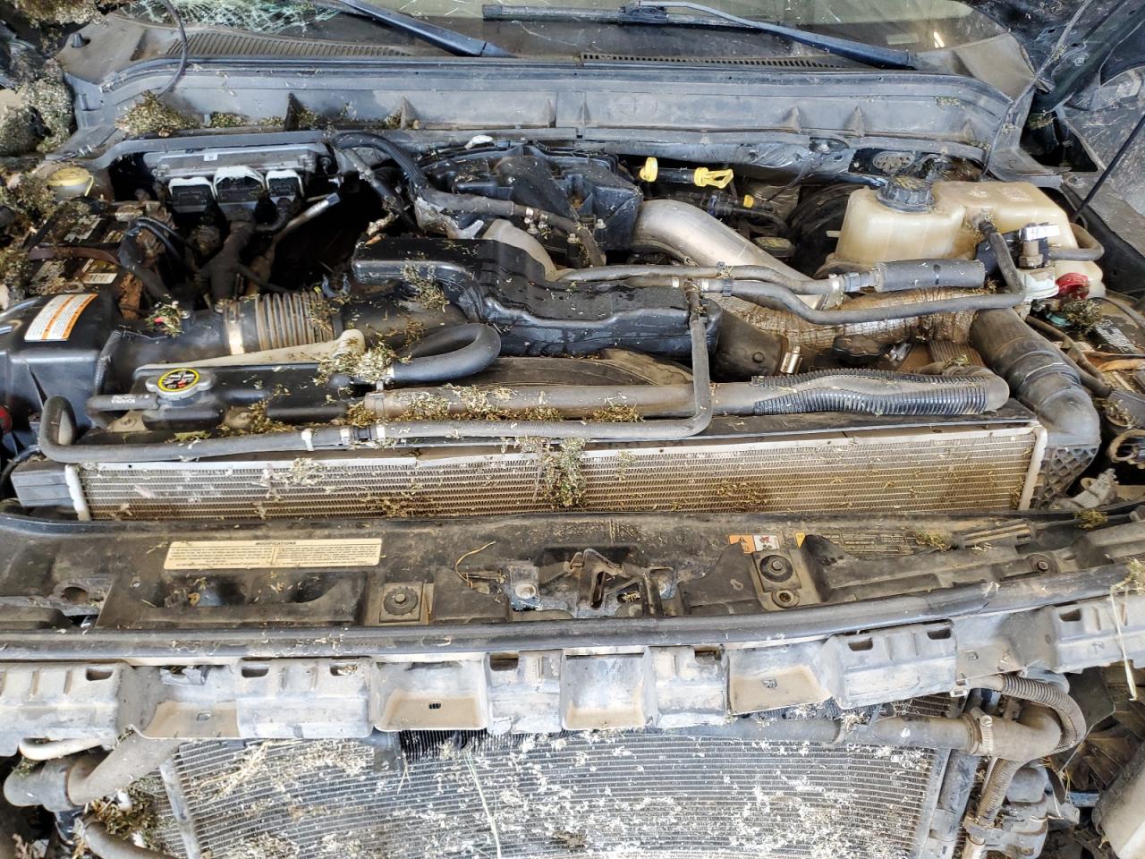 2015 Ford F250 Super Duty VIN: 1FT7W2BT8FEA22775 Lot: 81812645