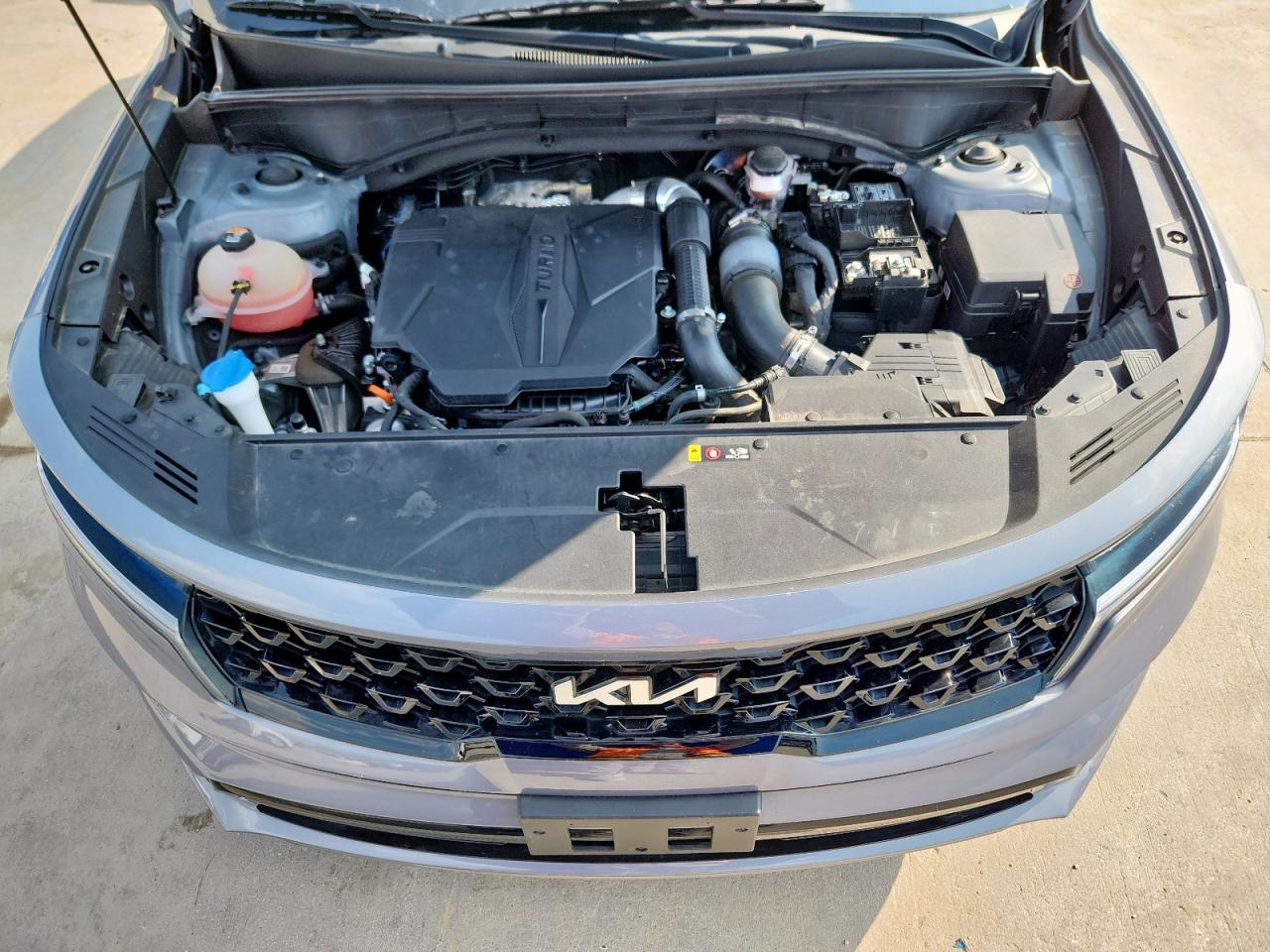 2023 Kia Sorento Sx VIN: 5XYRK4LF6PG175110 Lot: 71671785