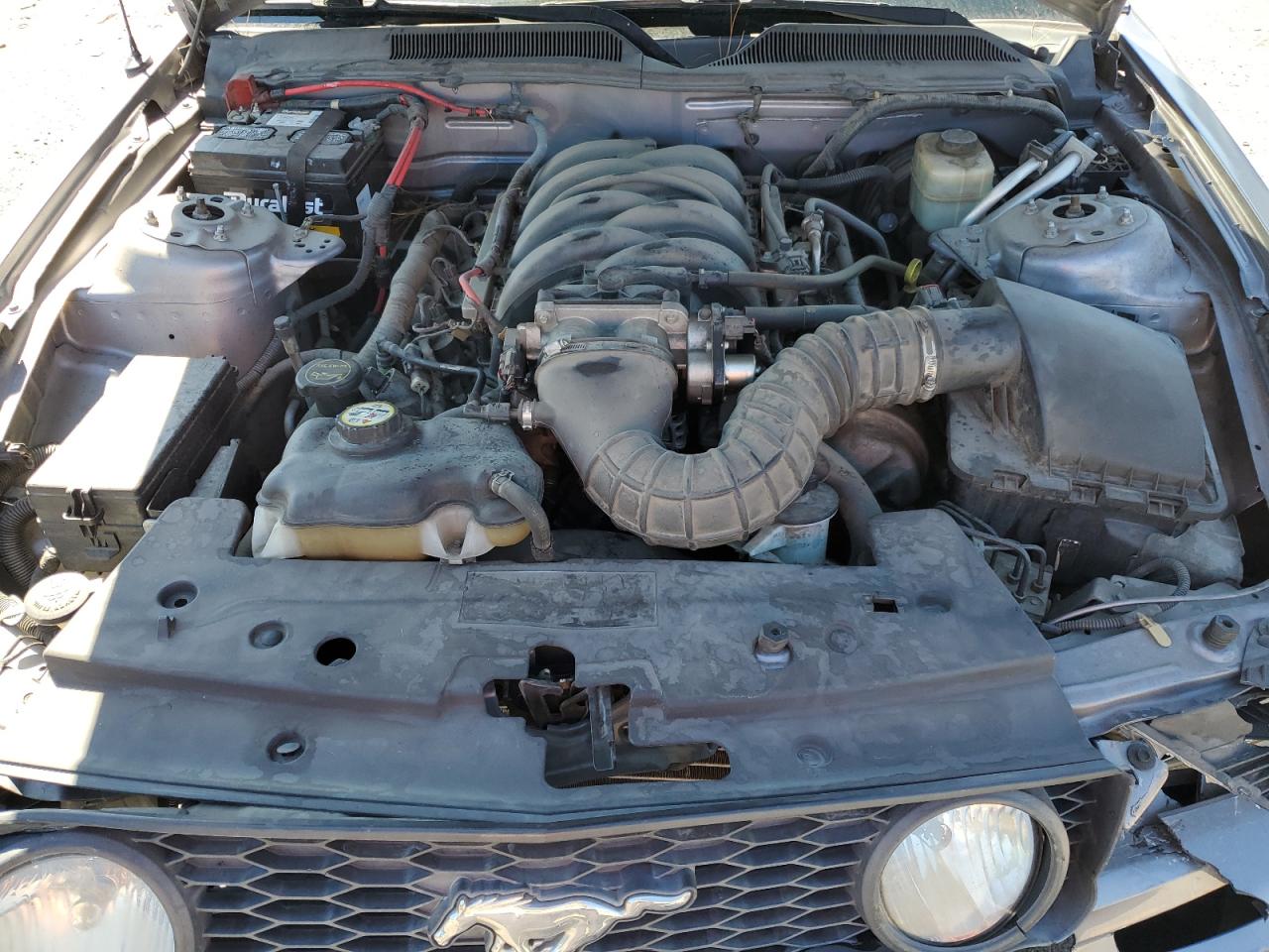 2006 Ford Mustang Gt VIN: 1ZVHT82H865213931 Lot: 81523825