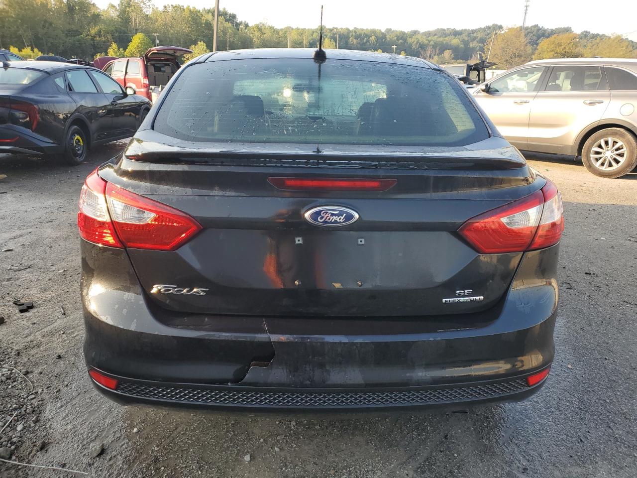 2013 Ford Focus Se VIN: 1FADP3F22DL122571 Lot: 81052405