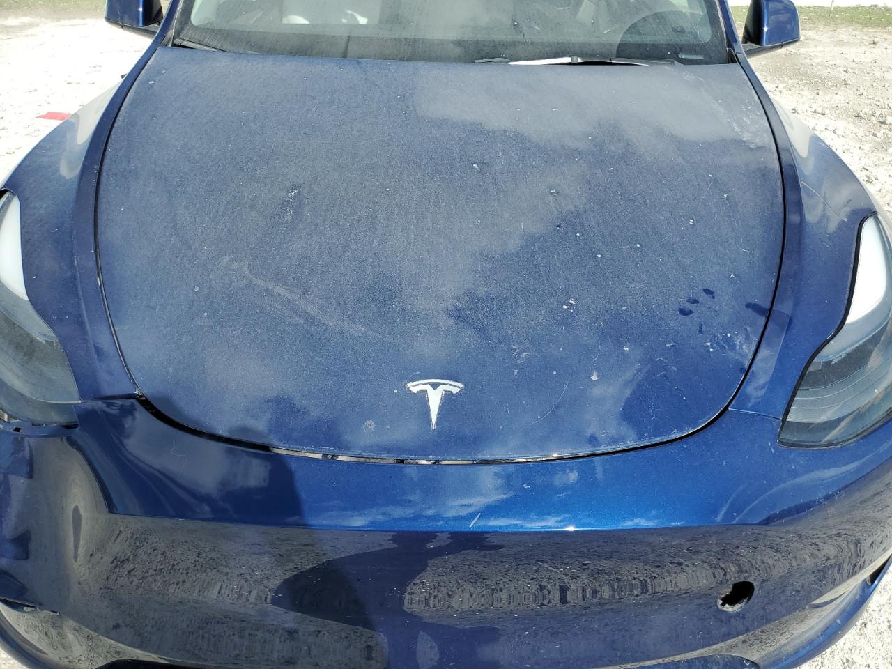 2024 Tesla Model Y VIN: 7SAYGDEE9RA278646 Lot: 81840385